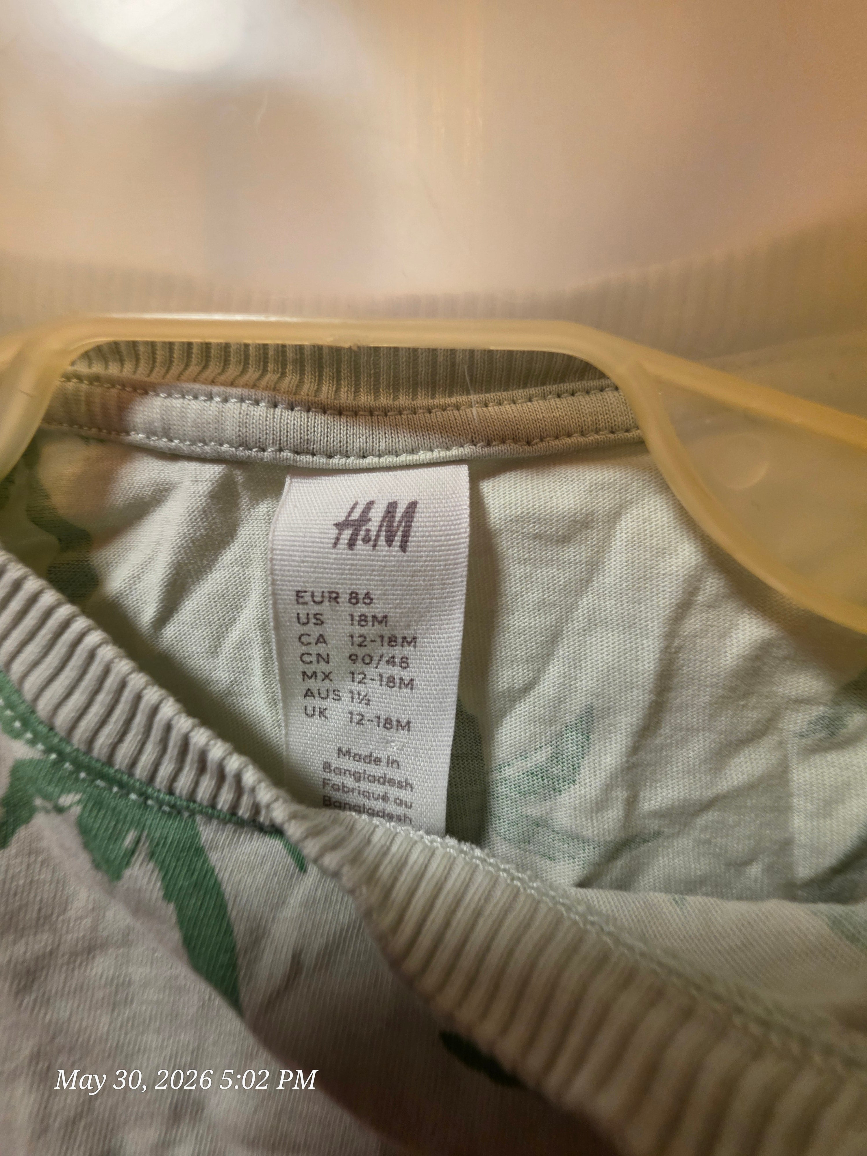 The H&M Palm Tree Shirt and Shorts