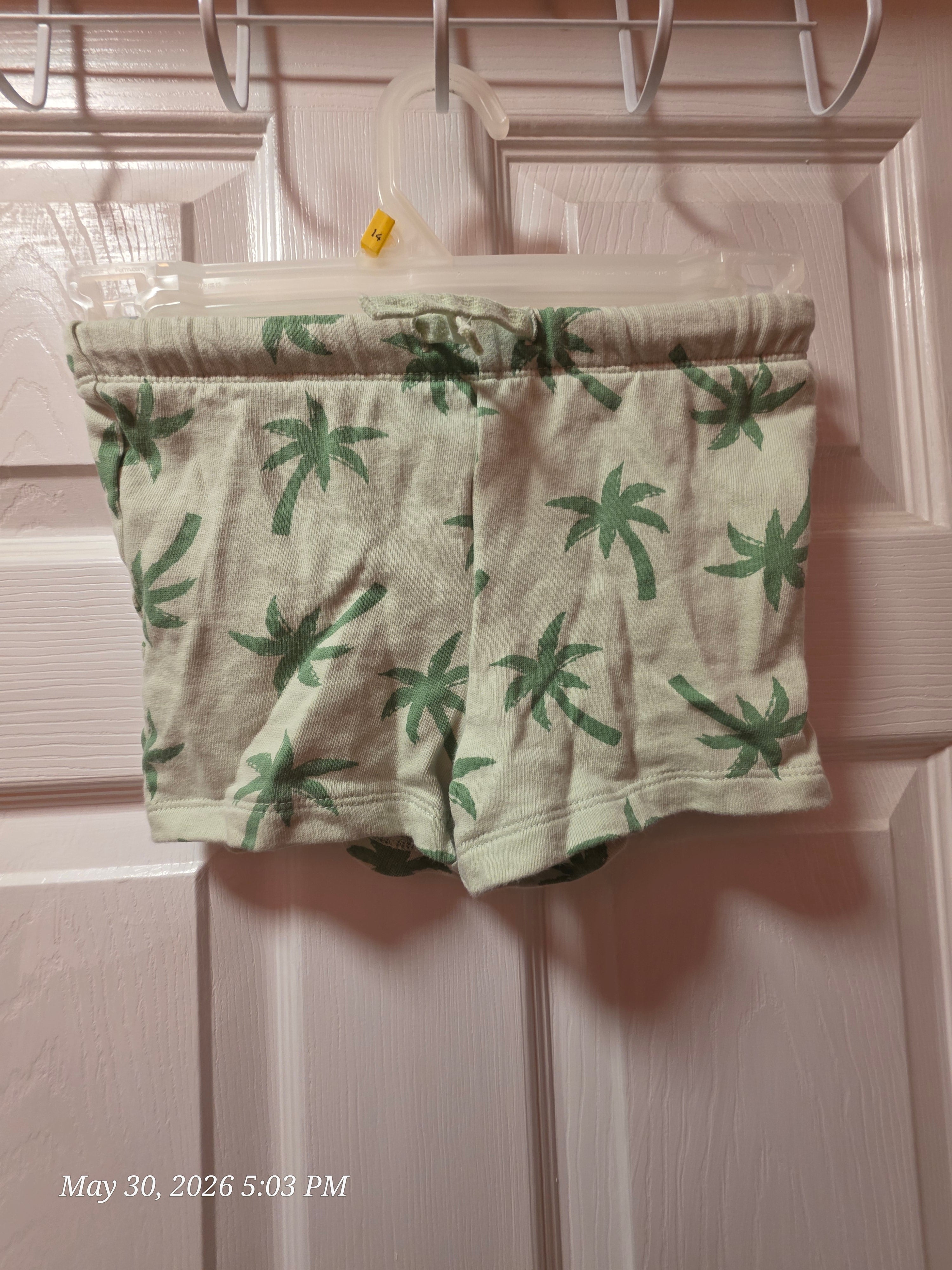 The H&M Palm Tree Shirt and Shorts