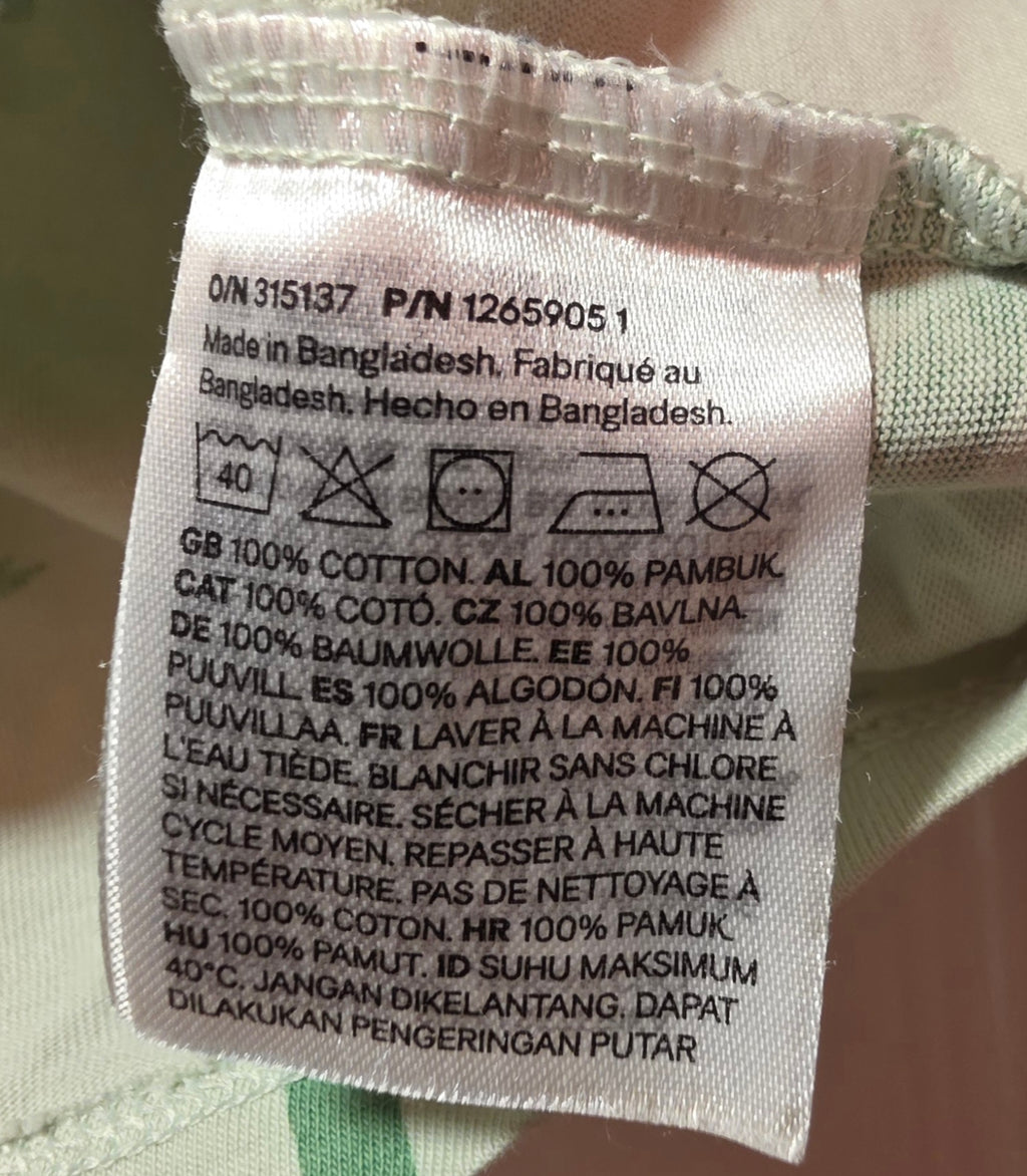 The H&M Palm Tree Shirt and Shorts
