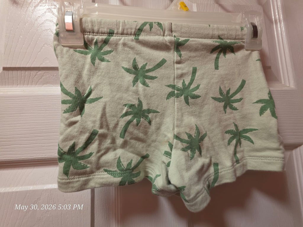 The H&M Palm Tree Shirt and Shorts