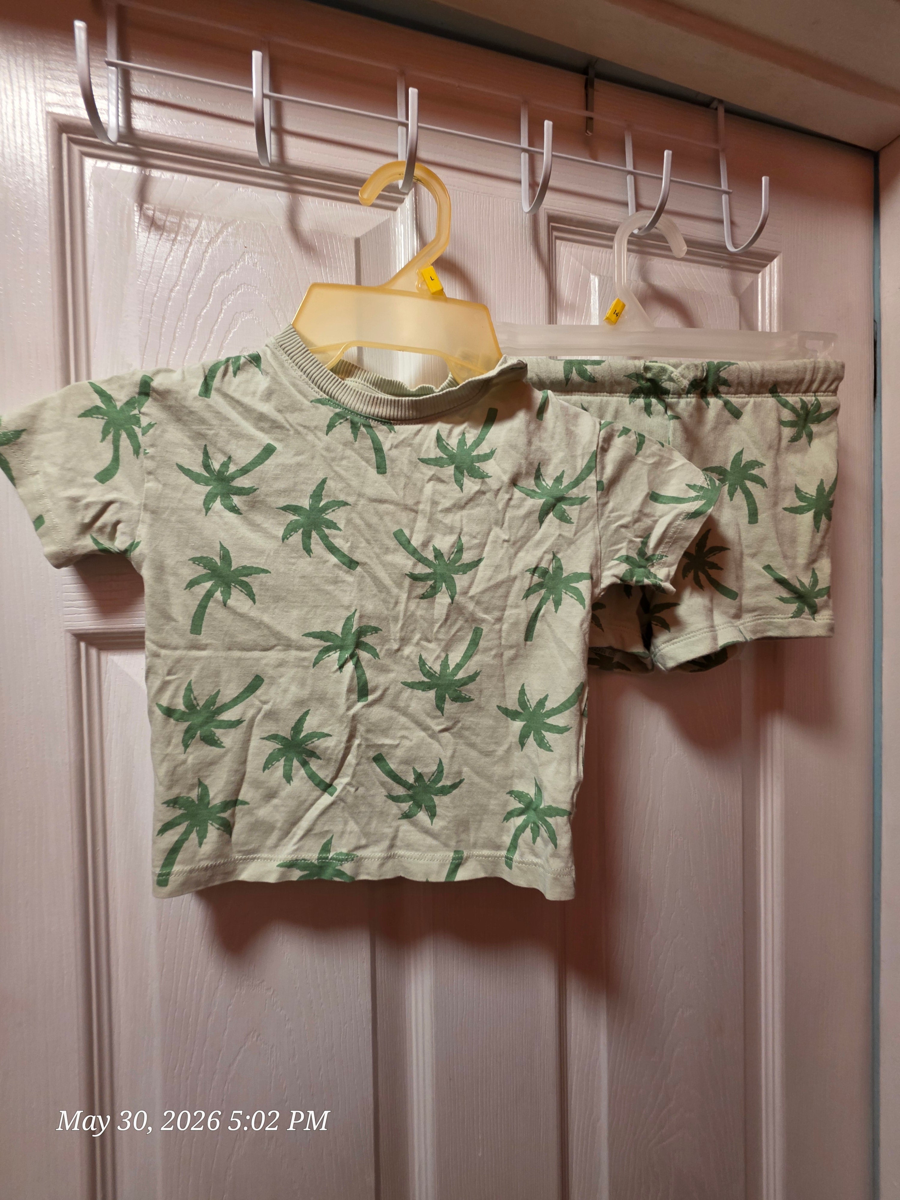 The H&M Palm Tree Shirt and Shorts