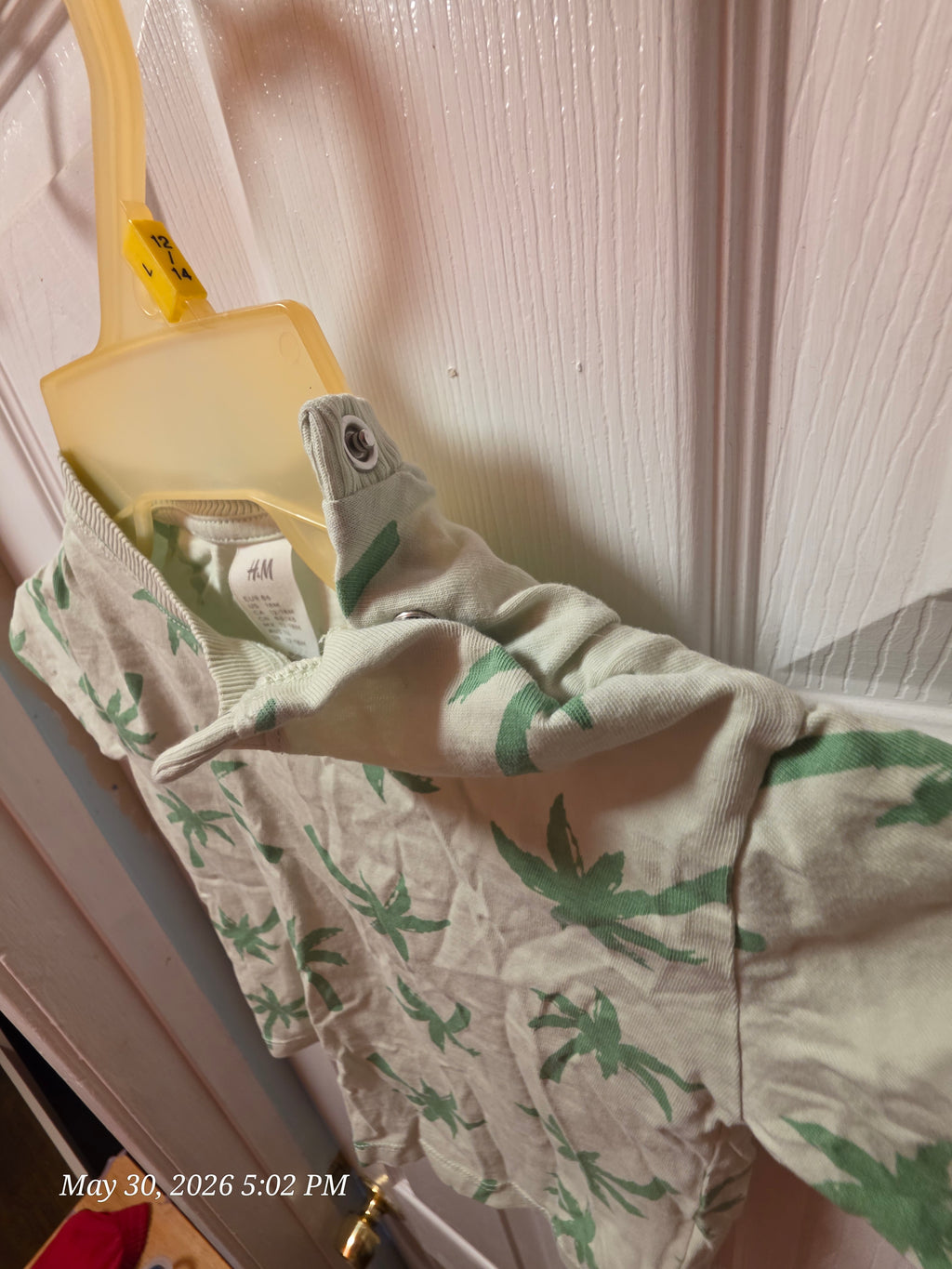 The H&M Palm Tree Shirt and Shorts