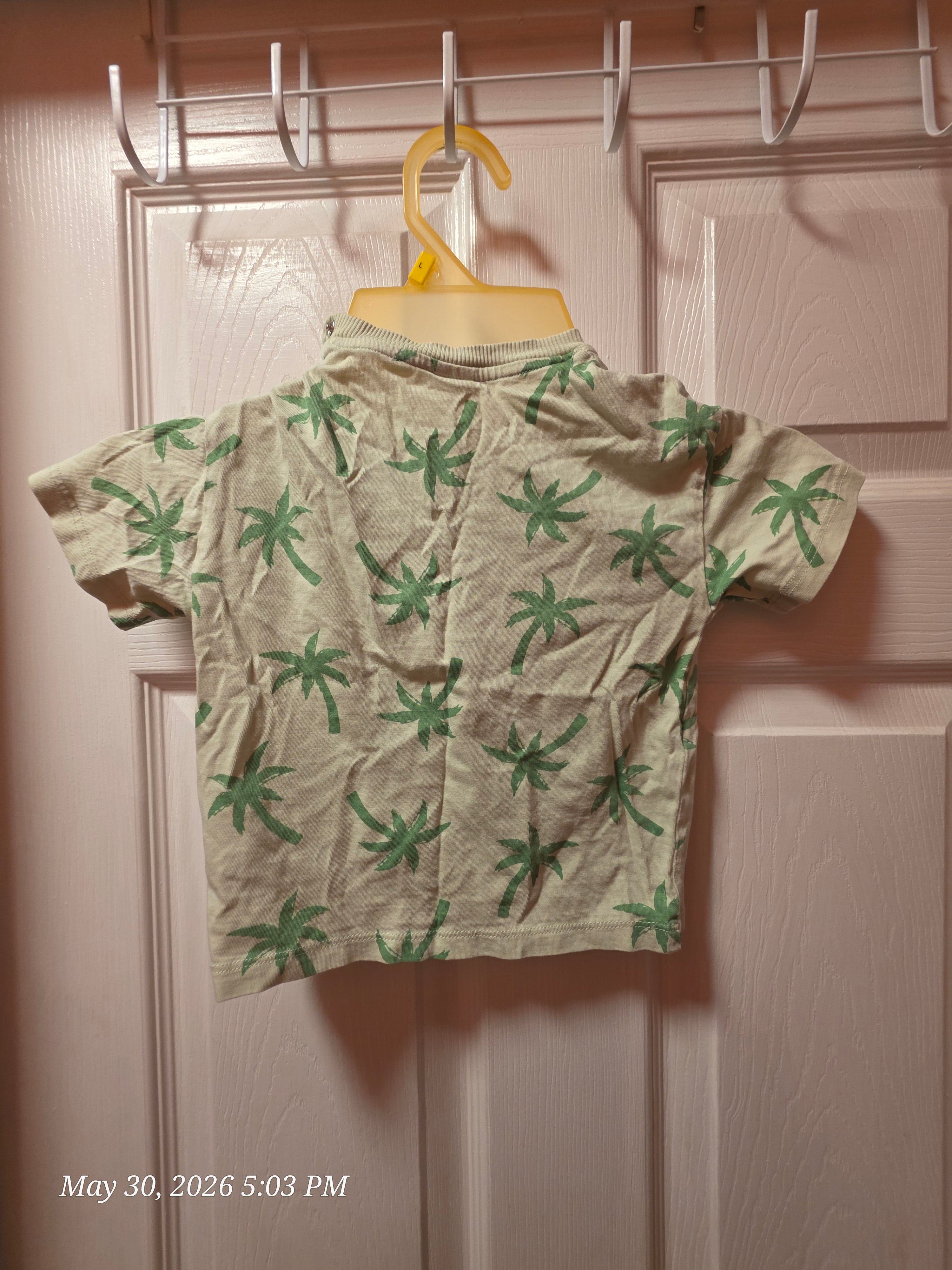 The H&M Palm Tree Shirt and Shorts