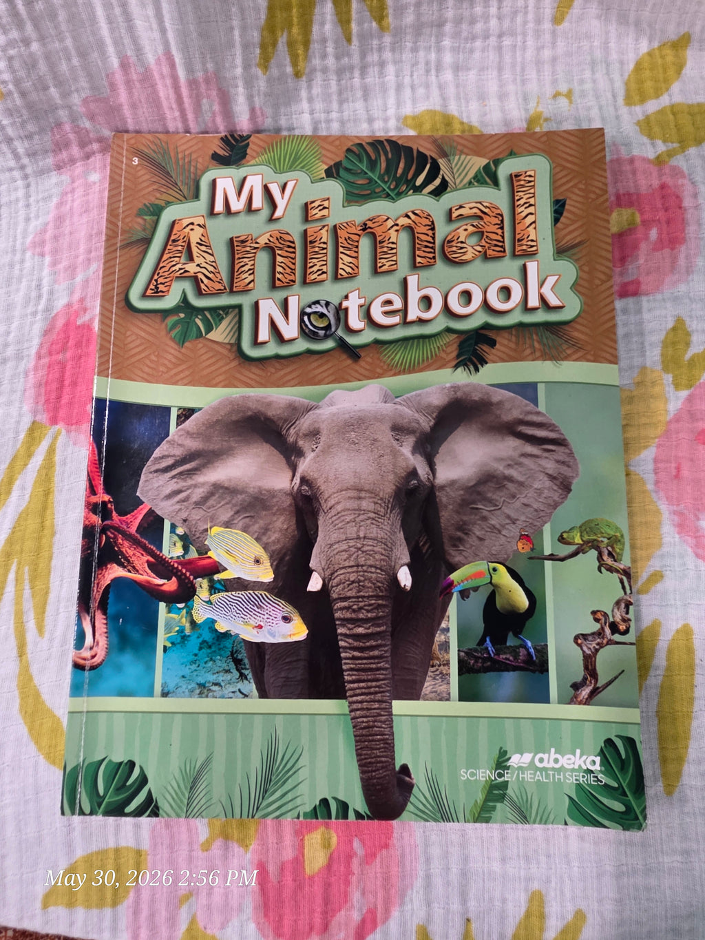 Abeka Homeschool Science & Health 3 Lesson Plans + Quizzes